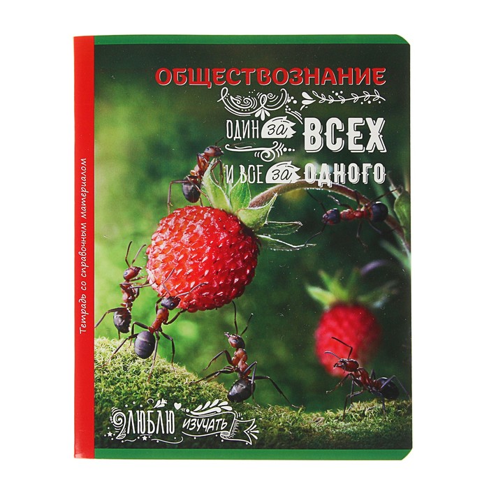 Тетрадь 48 листов клетка &quot;Люблю изучать! - обществознание&quot;, обложка мелованный картон, со справочным материалом