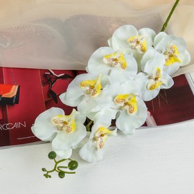 Цветы искусственные "Орхидея Фонтея" 8*90 см белая