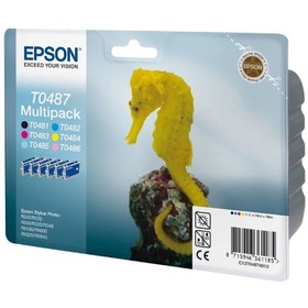 Картридж струйный Epson C13T04874010 черный/голубой/пурпурный/желтый/светло-пурпурный/светло-голубой