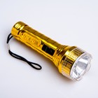 Flashlight manual "Metallic", 1 LED, mix, 3.5x10 cm