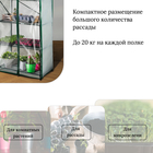 Парник, 5 полок, 190 × 60 × 40 см, металл, чехол спанбонд 60 г/м², дверь из плёнки 100 мкм 3538850
