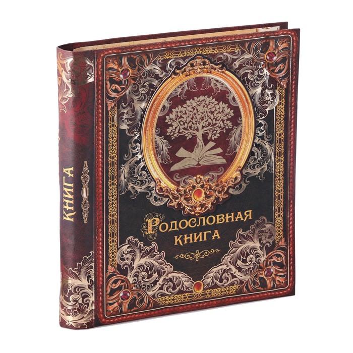 Родословная книга на кольцах &quot;Семейное древо&quot;, УЦЕНКА 25 х 29 см