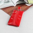 Ключница К-2, 12*2*6, отд на молнии, метал кольцо, лак италия красный Ключница К-2, 12*2*6, отд на молнии, метал кольцо, лак италия красный