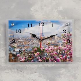 Часы настенные, серия: Цветы, "Париж", 20х30 см