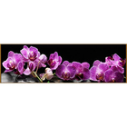 Алмазная мозаика «Тропическая орхидея», 33 цвета - фото 840435