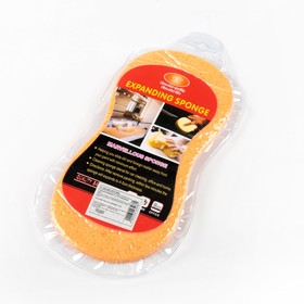 Губка впитывающая для авто, 22×10 см, вакуумная, микс 3043468