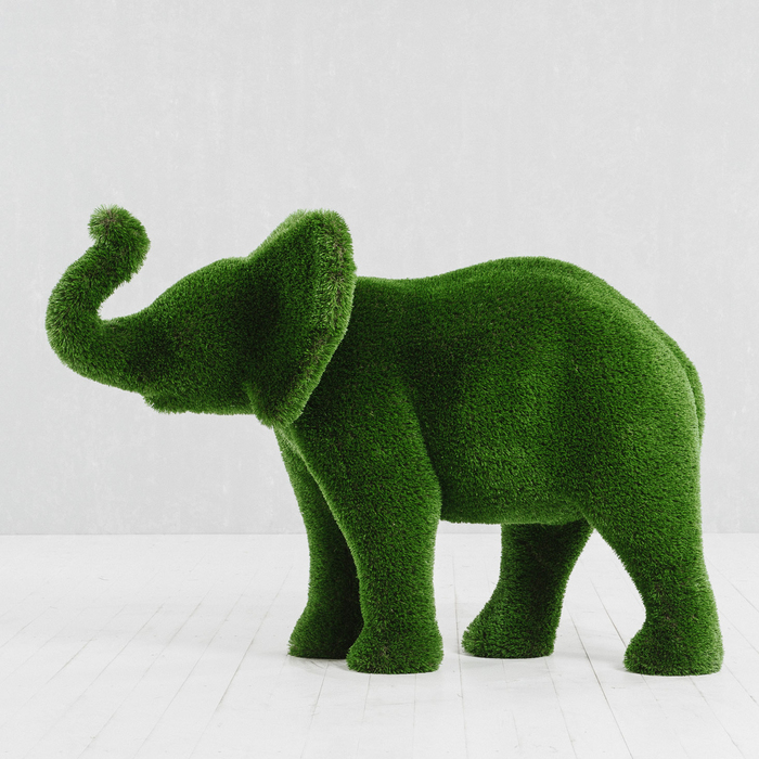 Зеленый Слон Интернет Магазин
