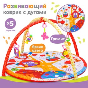 Play Mat with arcs "Sovushka", 5 toys
