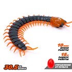 RC pet Centipede, battery powered, light, MIX