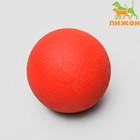 Игрушка несгрызаемая "Цельнолитой шар" большой, 8 см, каучук Игрушка несгрызаемая "Цельнолитой шар" большой, 8 см, каучук