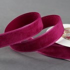 Лента декоративная "Вельвет", 20мм, 9±1м, №07, цвет фиолетовый Лента декоративная "Вельвет", 20мм, 9±1м, №07, цвет фиолетовый