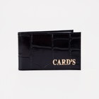 Business card holder horizontal 18 holders, alligator clip, color black