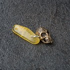 Keychain mascot "Skull", natural amber