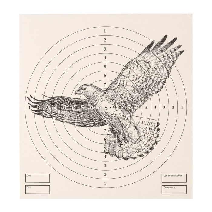 Мишень &quot;Орёл&quot; для стрельбы из пневматического  оружия, 14 х14 см, дистанция 10 метров