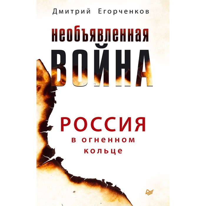 Новая политика. Необъявленная война. Россия в огненном кольце. Егорченков Д.А.