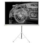 Экран Cactus 124.5x221 Triscreen CS-PST-124x221 16:9, напольный, рулонный Экран Cactus 124.5x221 Triscreen CS-PST-124x221 16:9, напольный, рулонный