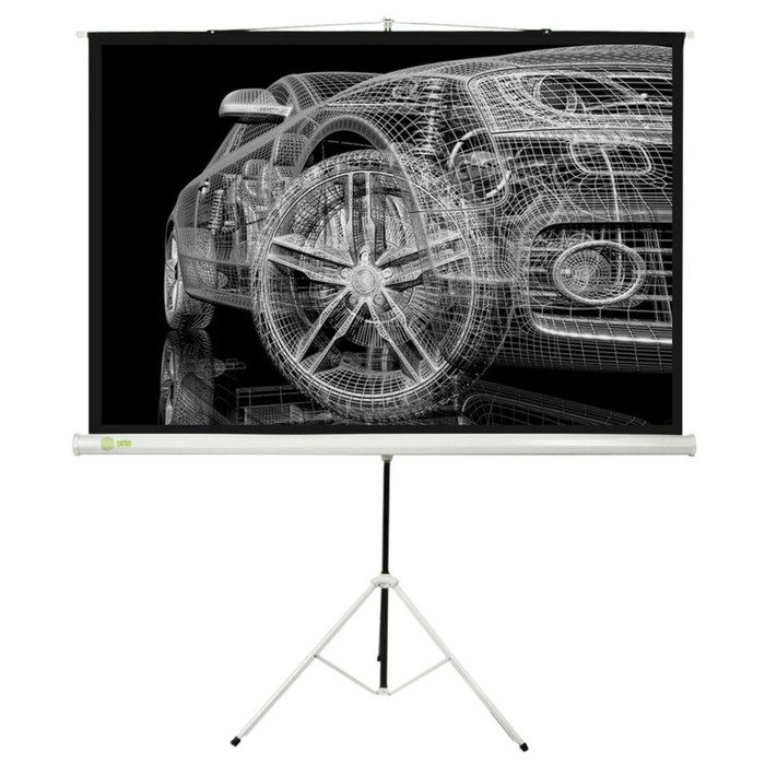 Экран Cactus 124.5x221 Triscreen CS-PST-124x221 16:9, напольный, рулонный