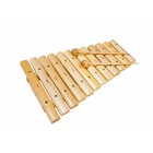 Ксилофон FLIGHT FX-12N  В комплекте:  (12 нот)- 1шт.,палочки-2шт. Состав: дерево, металл - фото 800910173