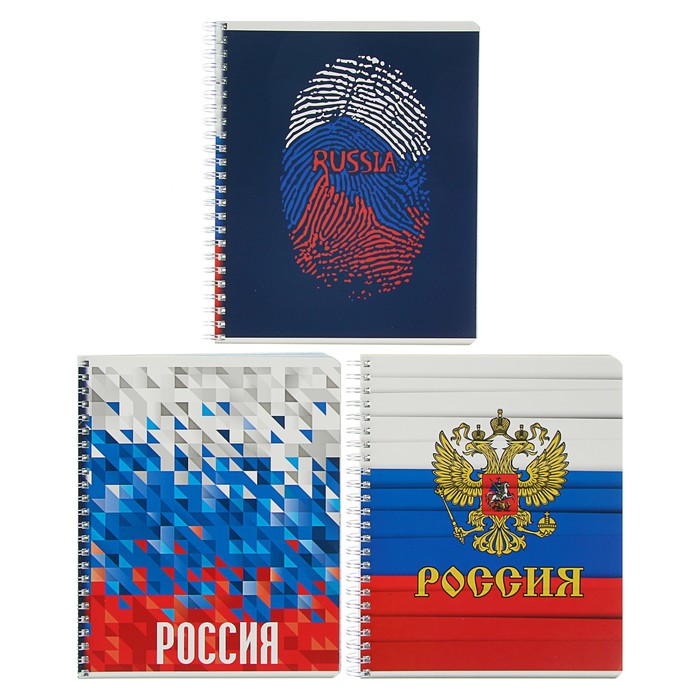 Тетрадь 96 листов клетка на гребне &quot;Россия: герб,триколор&quot;, обложка мелованный картон, выборочный лак