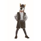 Карнавальный костюм «Волк», мех, размер 28, рост 110 см - фото 916023