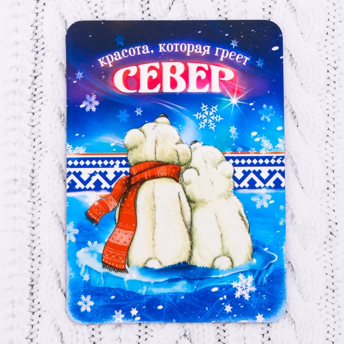 Магнит «Север. Медведи»