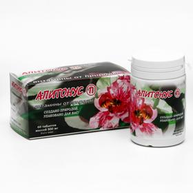 Витаминно-минеральный комплекс «Апитонус», улучшение памяти и повышения тонуса организма, 60 таблеток по 500 мг