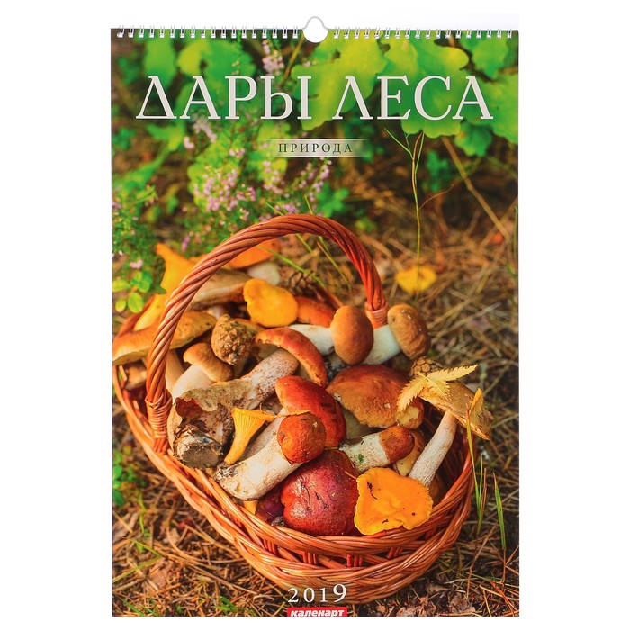 Календарь перекидной, ригель и пружина &quot;Дары природы и леса&quot; 2019 год, 34х49см