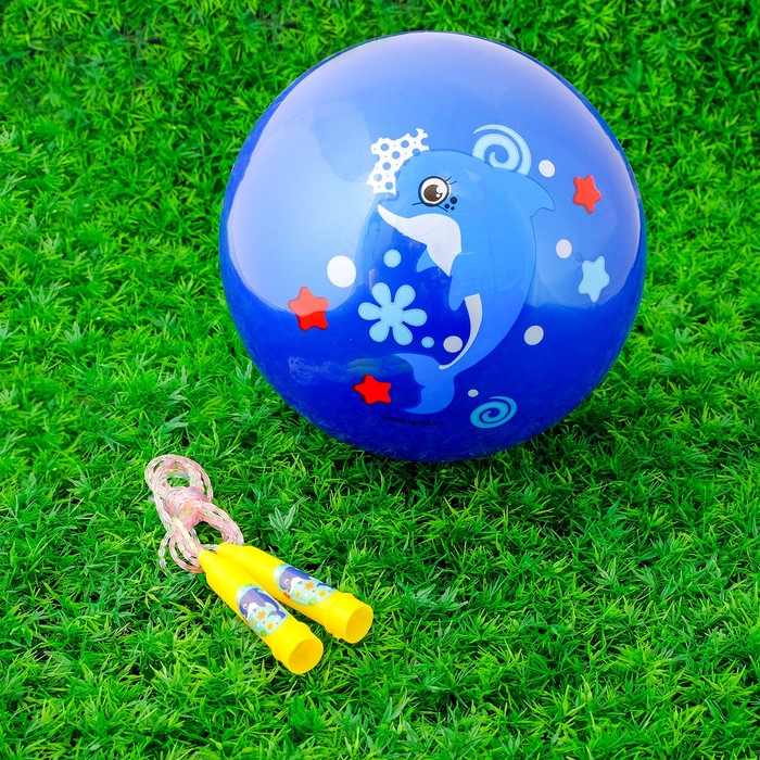 Мяч для ребенка 5 лет. Мяч детский Дельфинчик. Идеи мячей детских. Детский мячик радость. Мяч детский резиновый 22см.