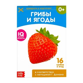 Обучающие карточки Г. Домана «Грибы и ягоды», на скрепке, 20 стр. в Донецке