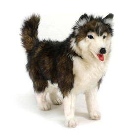 Мягкая игрушка собака породы «Сибирский Хаски», 40 см
