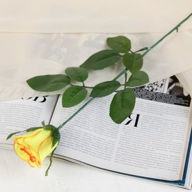 цветы искусственные роза 53 см d-5 см желто-красная МИКС