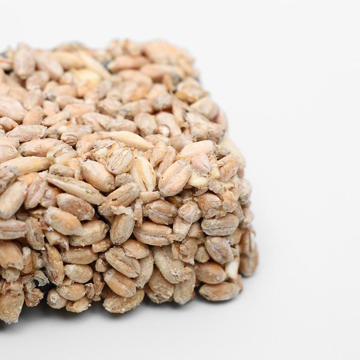 Солод белсолод 40 кг. Пшеница (семена, 500 г). Мини бад для зерна. Солод карамельный 150 евс. Современный элеватор.