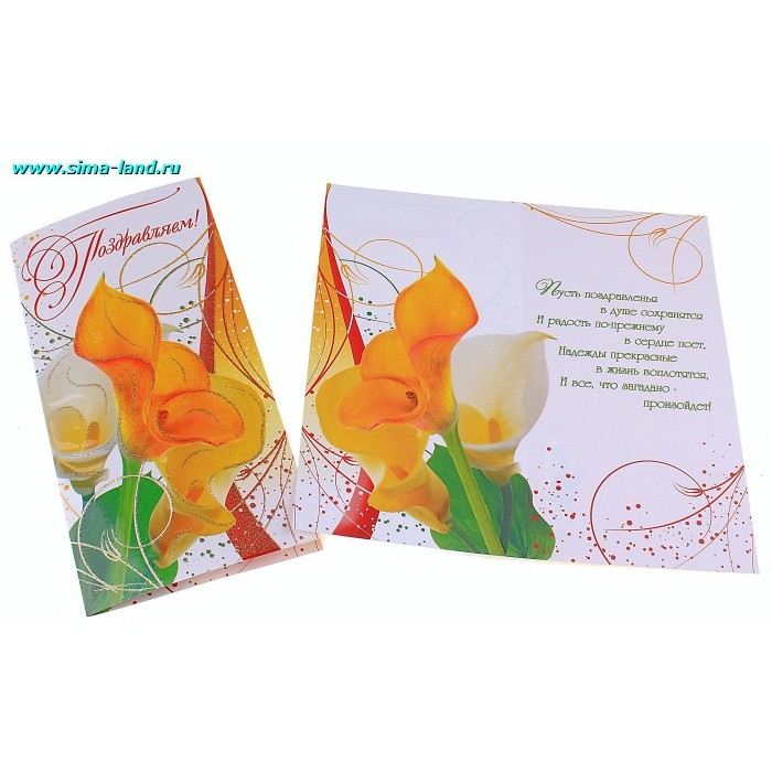 �������� ������������ ����