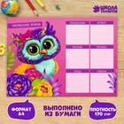 Timetable "Owl" A4