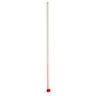 Thermometer alcohol-rimless 120