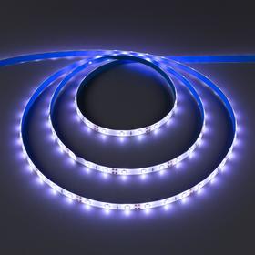 Cветодиодная лента Ecola PRO 5 м, IP65, SMD3528, 60 LED/м, 4.8 Вт/м, 12 В, 6000К