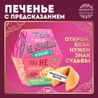 Печенье с предсказанием «Узнай что тебя ждёт»: 1 шт. 3467757 - фото 33412