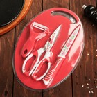 Набор кухонный, 4 предмета: нож, ножницы с антиналипающим покрытием, овощечистка, доска, цвет красный - фото 3201680