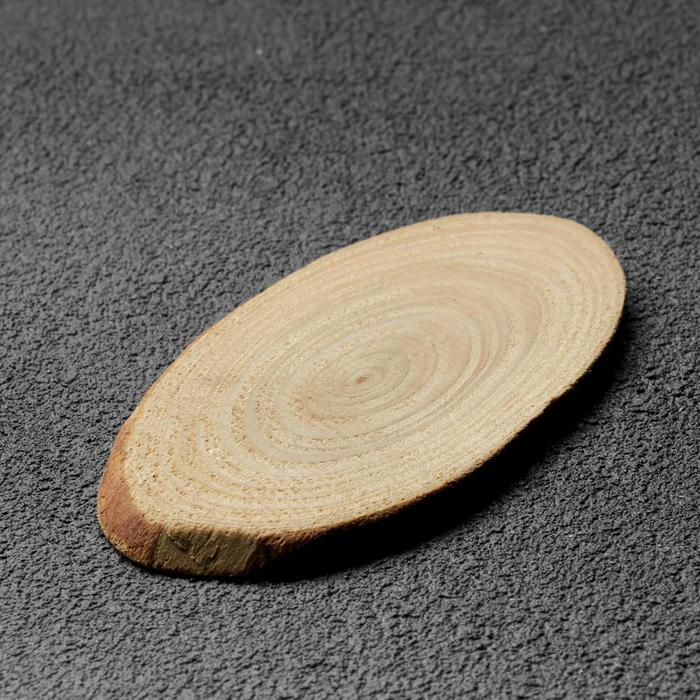 Спил дерева "Лиственницы", овальный, d=4-8 см, h= 3,5 мм (50 шт)