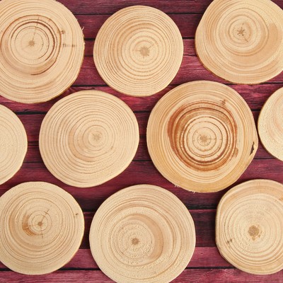 Спил d = 4 см, сосна