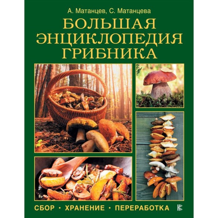 МыНаДаче. Большая энциклопедия грибника: сбор, хранение, переработка