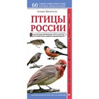 Птицы России. Наглядный карманный определитель. Митителло К.Б. Птицы России. Наглядный карманный определитель. Митителло К.Б.
