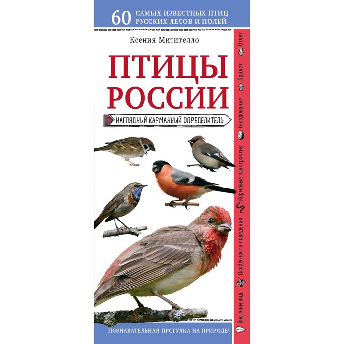 ПрирВКарм. Птицы России. Наглядный карманный определитель. Митителло К.Б.