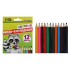 Pencils 12 colors MINI Calligrata