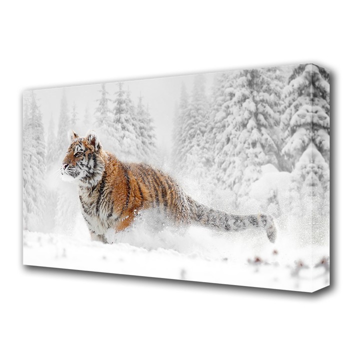 Картина на холсте "Тигр в снегу" 60*100 см - фото 941513