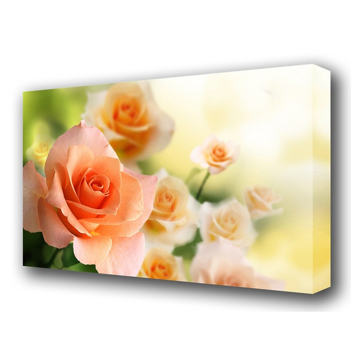 Картина на холсте "Аромат розы" 60*100 см - фото 941647
