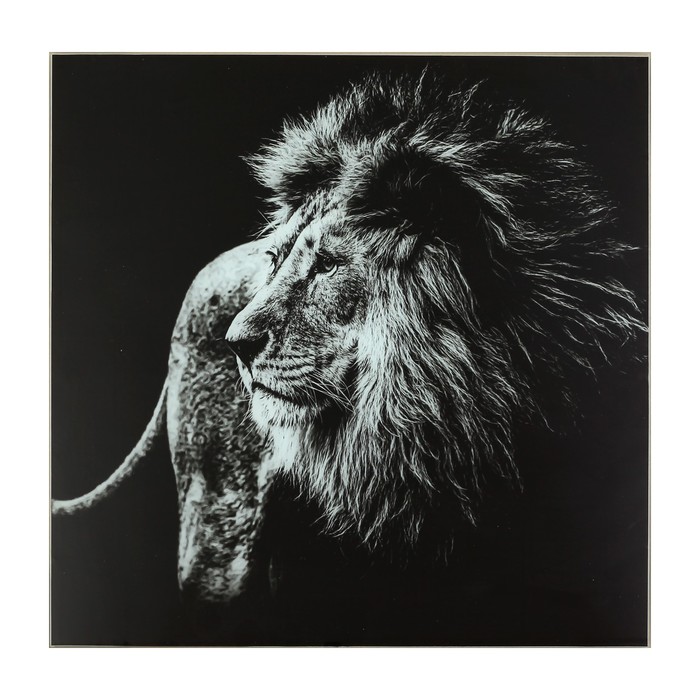Картина "Чёрно-белый лев" 50*50 см - фото 4410237