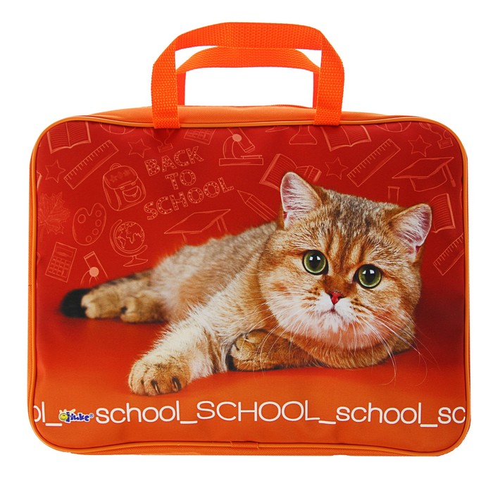 Папка с ручками текстиль А4 80мм 350*265 ПМД 4-20 дев School cat (ручка-тесьма) 55017