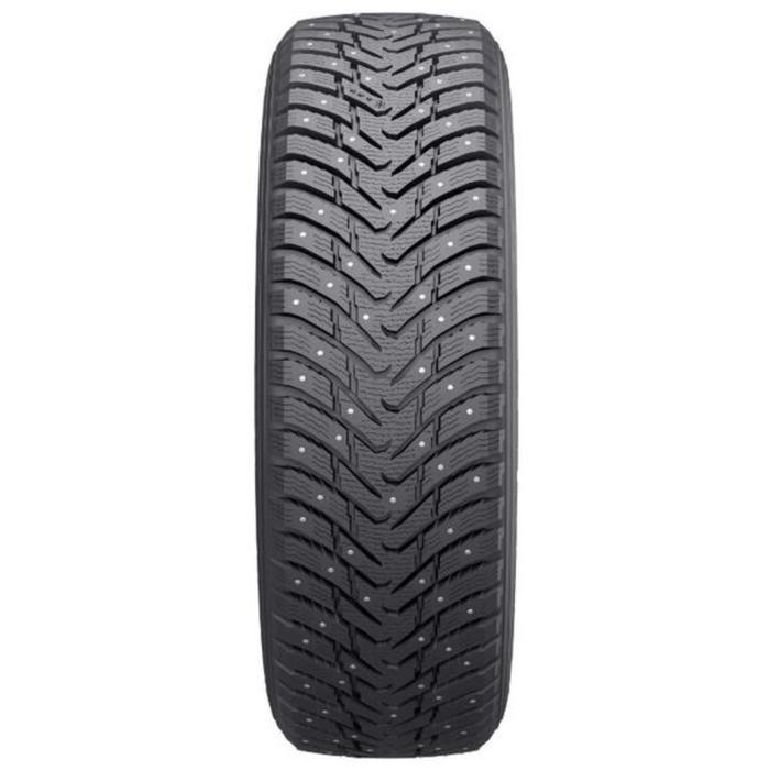 Зимняя нешипованная шина Nitto NTSN2 205/50 R17 93Q