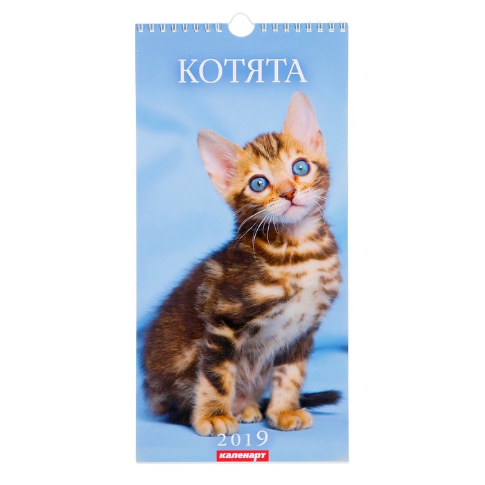 Календарь перекидной, ригель и пружина &quot;Котята&quot; 2019 год, 16,5х34см